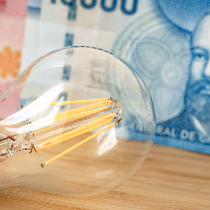 Subsidio Eléctrico 2024: revisa cuándo se conocerán los resultados de la postulación