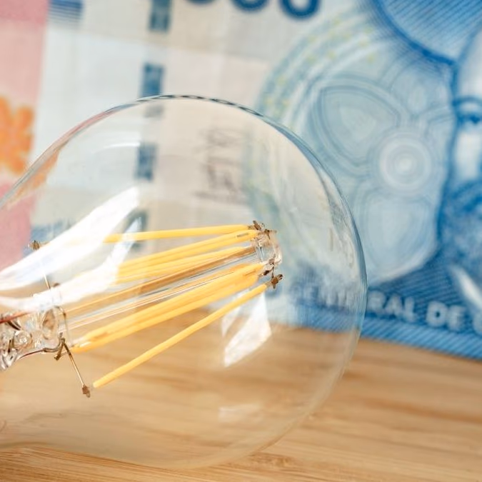 Subsidio Eléctrico 2025: quiénes tendrán prioridad en la nueva postulación