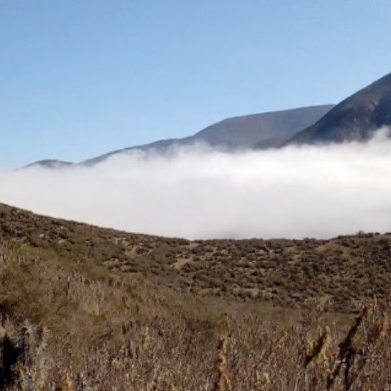 Tribeca Resources comienza a perforar en su proyecto de cobre, oro y cobalto La Higuera en el norte de Chile
