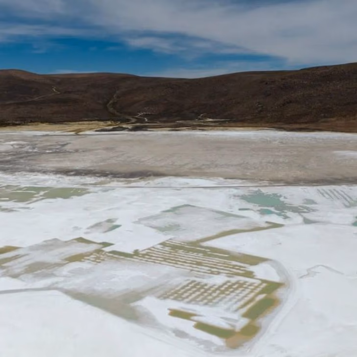 Tribunal Ambiental Extiende Medidas Cautelares para Quiborax en Salar de Surire hasta 2025: Impacto en la Biodiversidad y Fiscalización Detallada