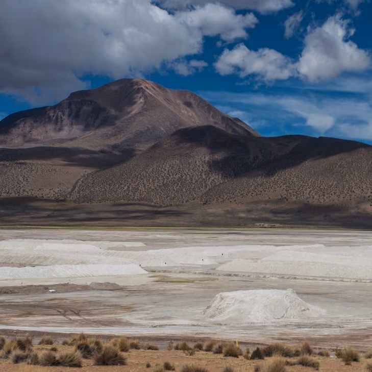 Tribunal Ambiental revisa suspensión de Quiborax en Salar de Surire por daño ambiental: Decisión clave en Arica y Parinacota