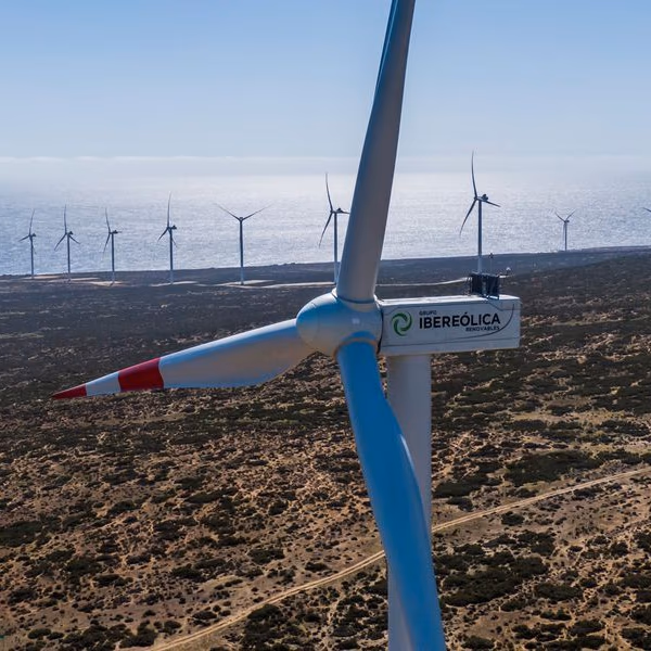Una segunda empresa de energía renovable cae en insolvencia: Ibereólica Cabo Leones II