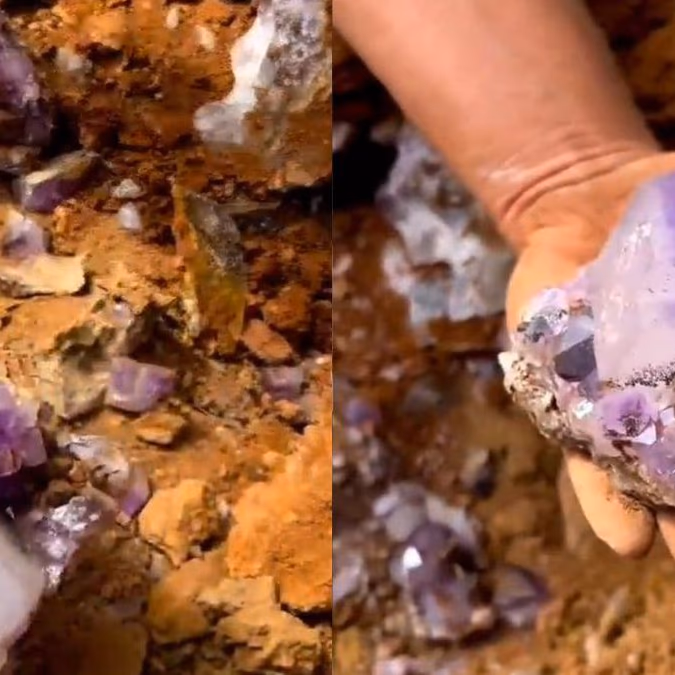 VIDEO: Increíble registro muestra hallazgo de cristales amatista por Mineros en África