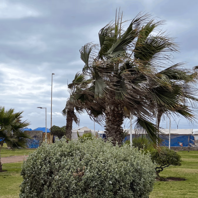 Sistema frontal golpeará el norte con rachas de 100 km/h: alerta por viento blanco entre el 16 y 18 de julio