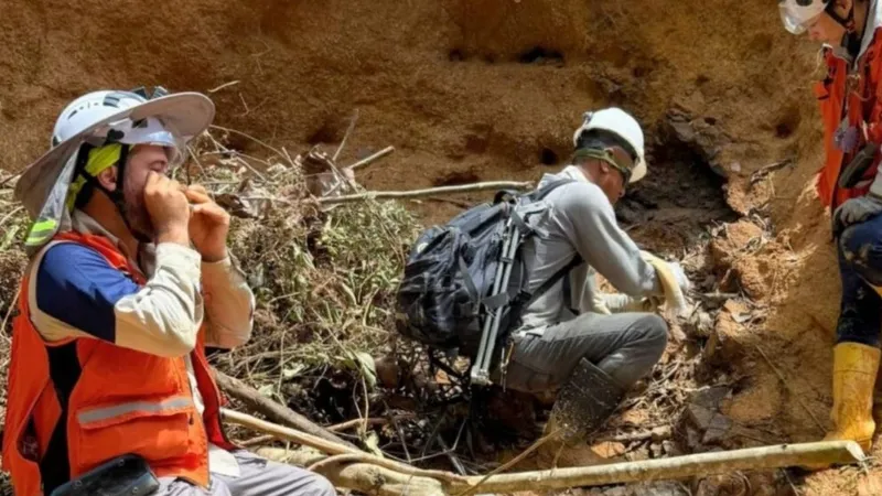 Quimbaya Gold confirma sistema de pórfido Cu-Mo-Au en Tahami Center; perforaciones iniciarán en Q2 2026