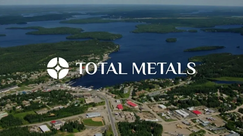 Total Metals completa programa de perforación de 8.408 metros en proyecto Electrolode