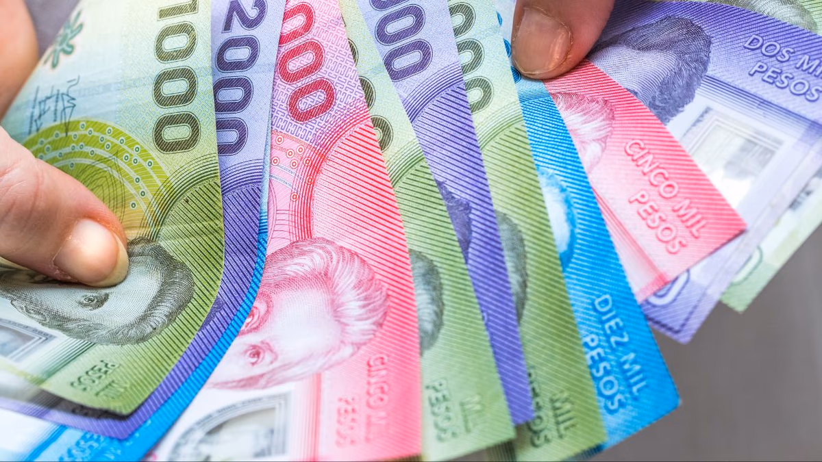 $200.000 Mensuales de Subsidio Protege, revisa requisitos