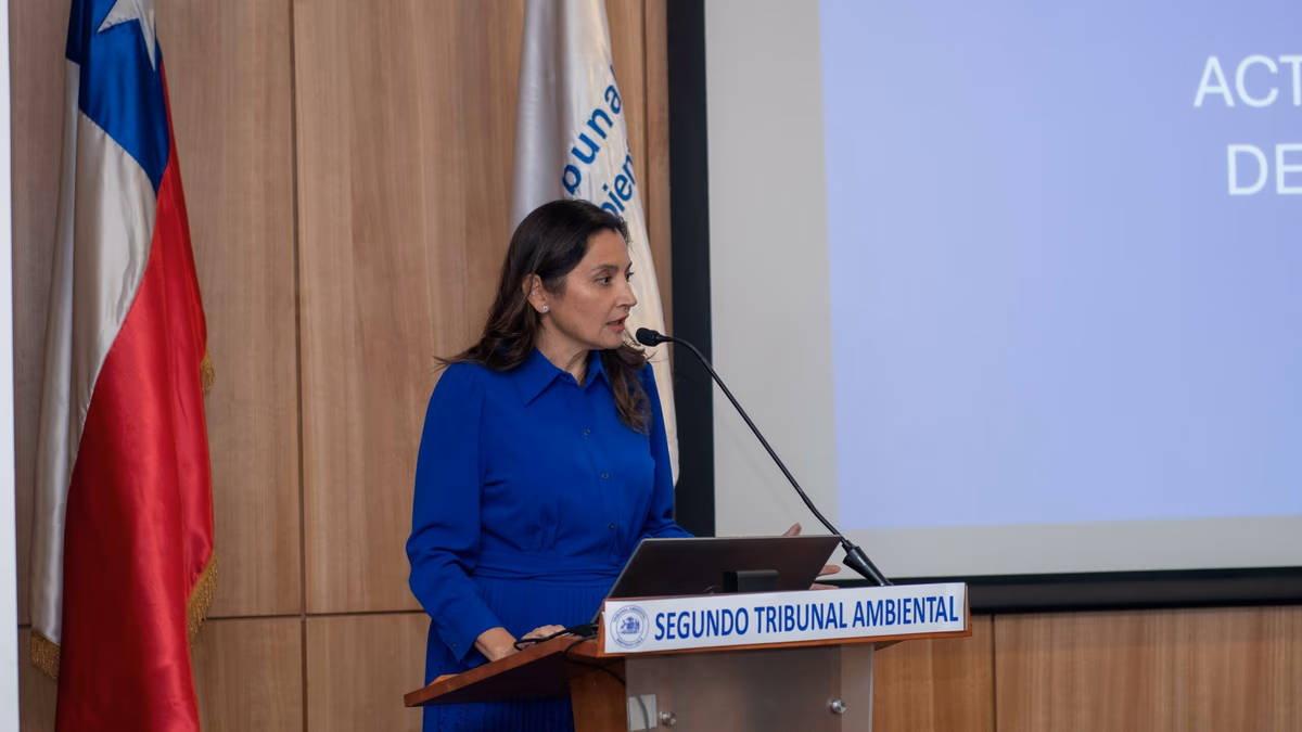 2023 registra el mayor número de sentencias dictadas por el Segundo Tribunal Ambiental en reclamos contra la Administración del Estado