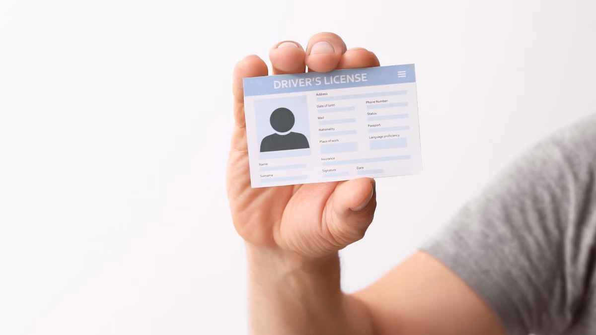 2025: Renueva tu Licencia de Conducir Vencida; Guía Completa y Citas Online