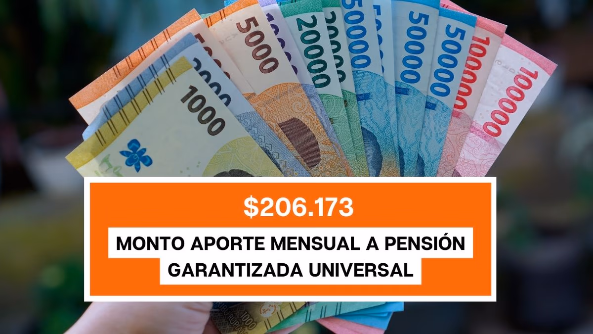 $206.173 monto aporte mensual a Pensión Garantizada Universal