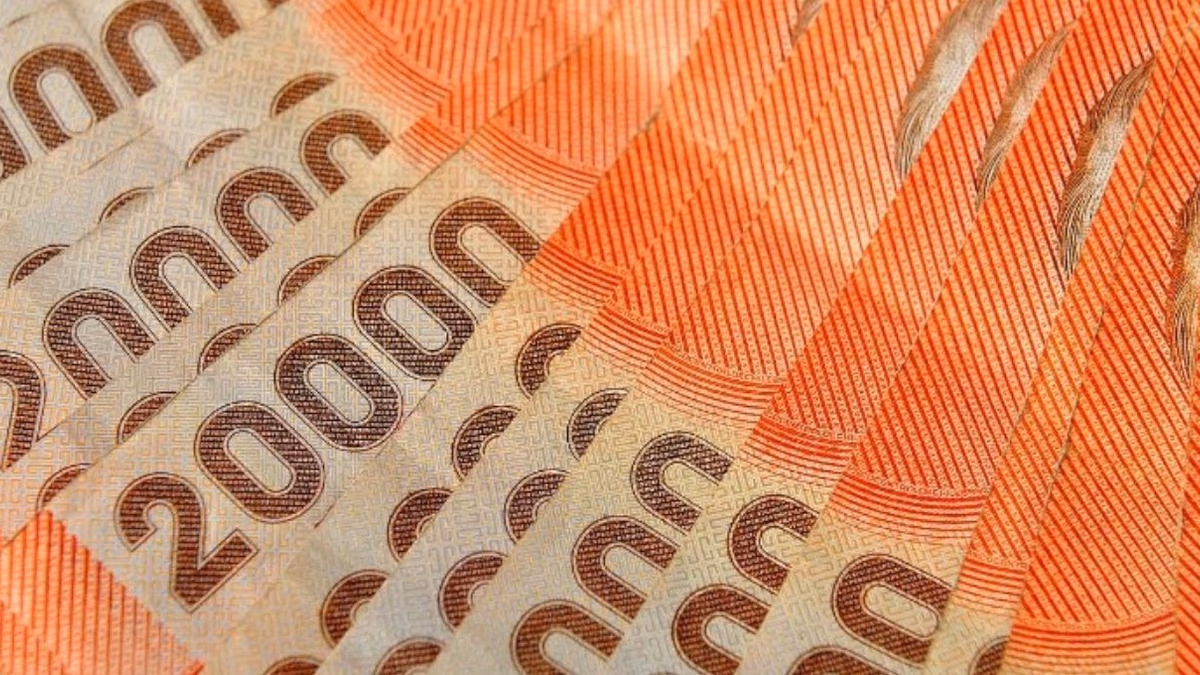 $60.000 por Pago Extraordinario de Bono Invierno: Así se entregará el beneficio