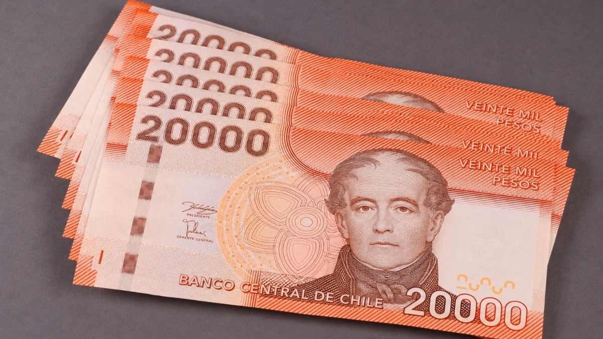 Fecha de pago IPS con RUT: cómo revisar bonos, pensiones y beneficios pendientes