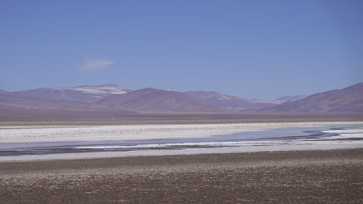 Salares Altoandinos: inversión en litio que puede transformar Atacama