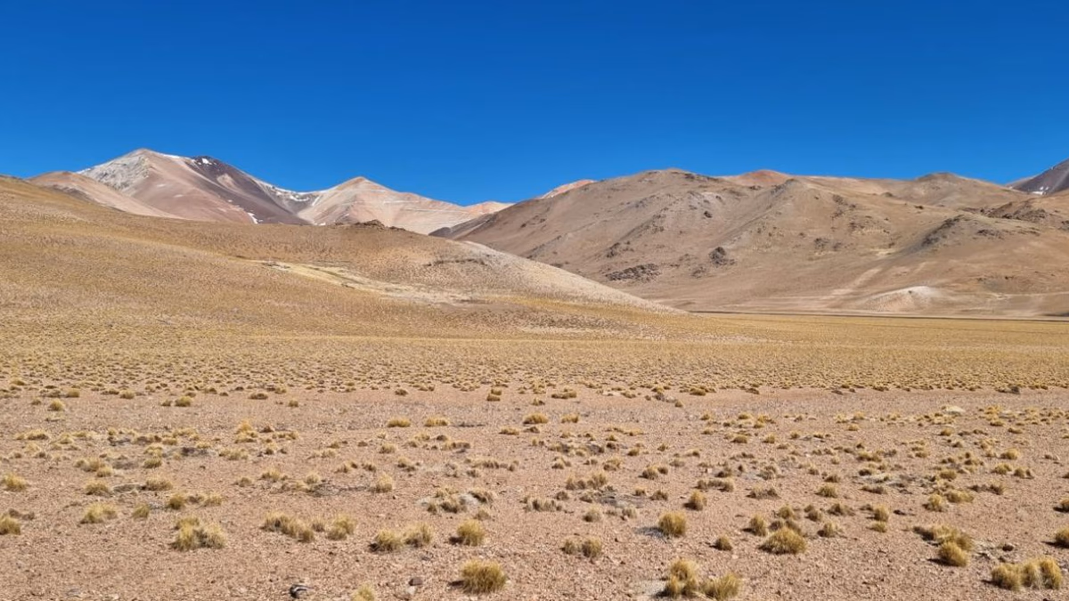 AbraSilver Avanza en el Proyecto La Coipita en Argentina con Teck: Colaboración Estratégica para un Descubrimiento de Cobre Significativo