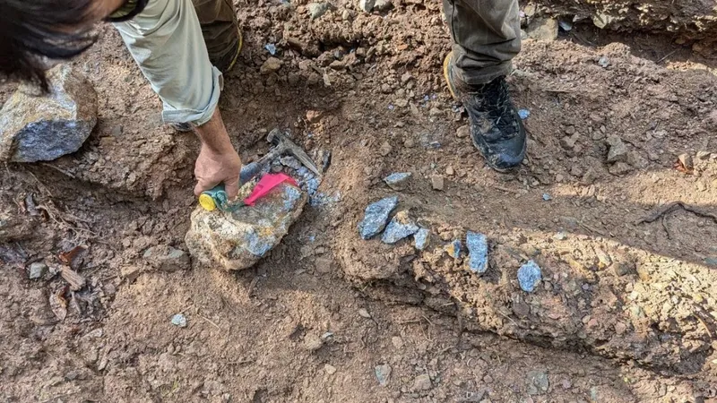 Actualización de Leviathan Gold sobre la transacción propuesta para adquirir Cura Botswana Corp.