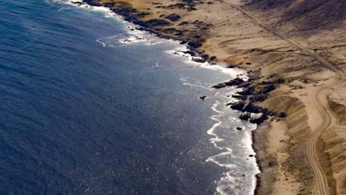 AES Chile avanza con proyecto de hidrógeno y amonio verde en Taltal