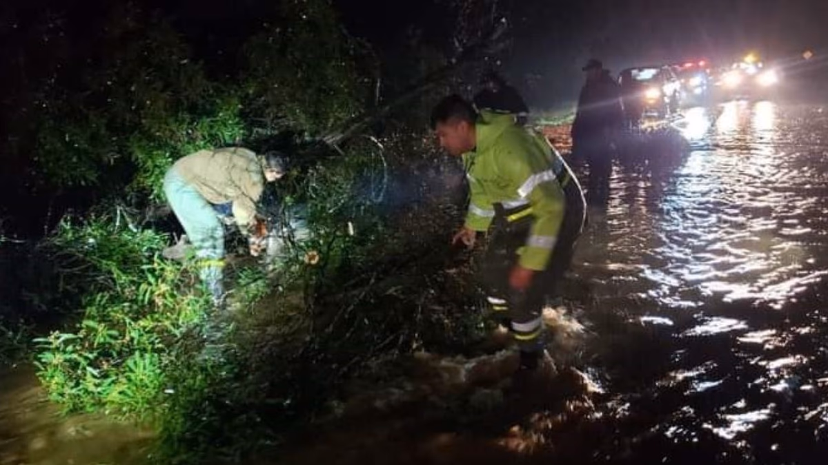 Afectadas Pichilemu y Paredones: Nuevo sistema frontal llegó con mucha fuerza en la noche