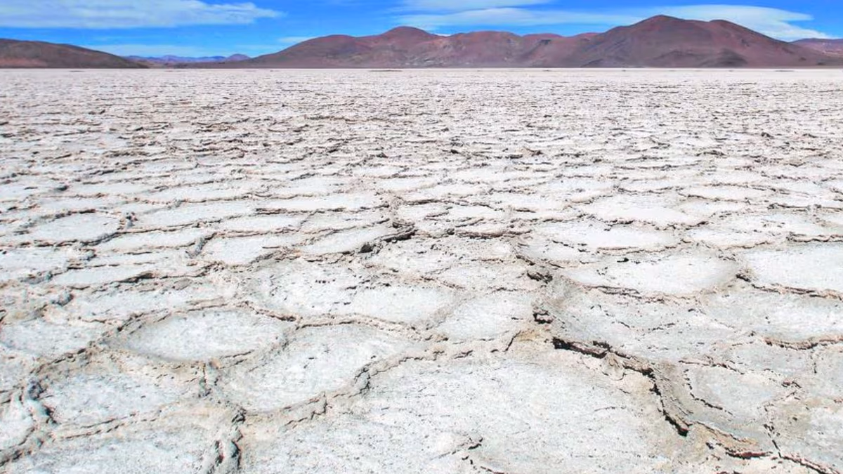 «Alta incertidumbre tecnológica en la explotación de salares de litio en Chile»