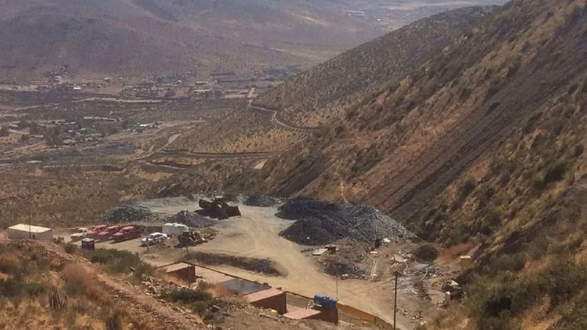 Altiplano Metals Revela Resultados Positivos y Actualizaciones en El Peñón