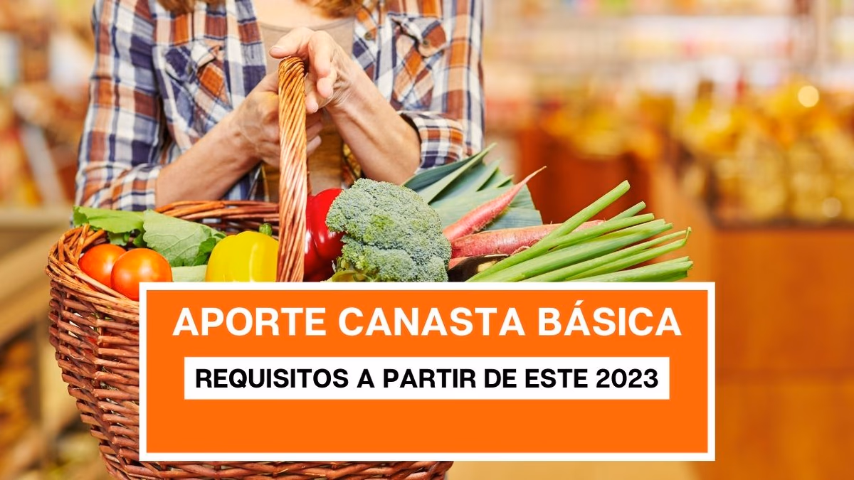 Aporte Canasta Básica modifica sus requisitos a partir de este 2023: Estas son las nuevas condiciones