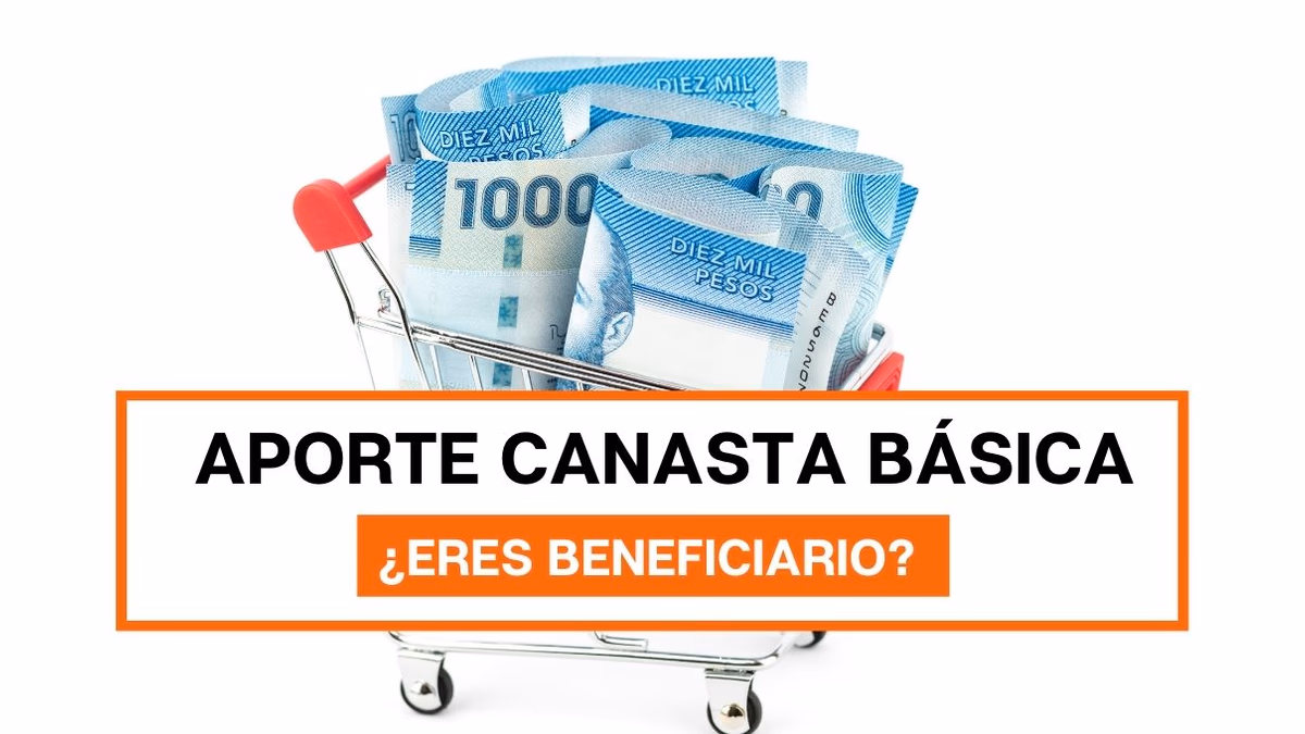 Aporte Canasta Básica: ¿Revisa con tu RUT si eres beneficiario?