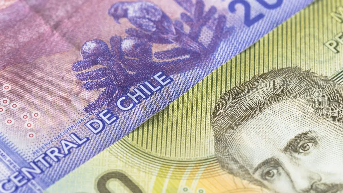 Aporte Familiar Permanente $66.834: publican los primeros resultados desde el 16 de febrero y así se revisa con RUN