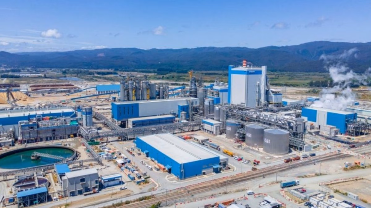 Arauco pasa a la ofensiva en arbitraje con Sigdo Koppers: pide desestimar cargos y solicita restitución de US$ 75 millones