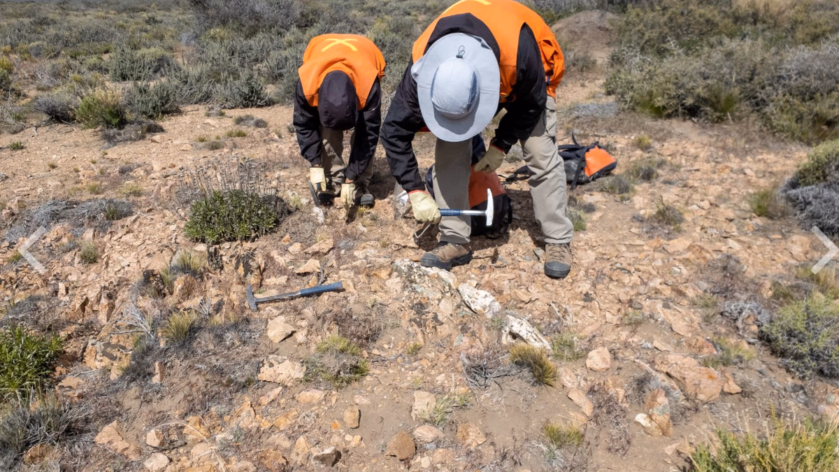(Argentina) Golden Arrow Resources muestra venas que contienen oro visible en el proyecto de oro Flecha de Oro