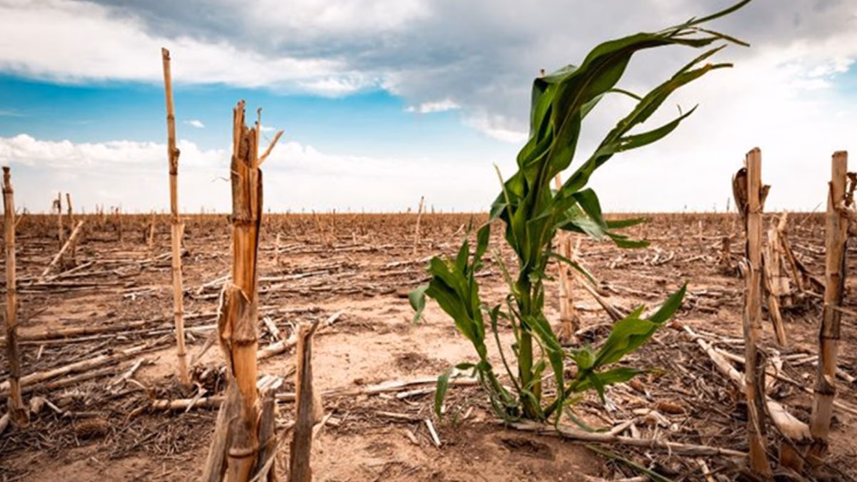 Avances y retos en la lucha contra el cambio climático en empresas