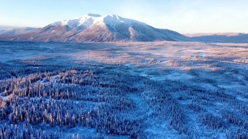 Banyan Gold Corp. sigue intersectando oro de alta calidad en Powerline, Depósito AurMac, Yukon, Canadá