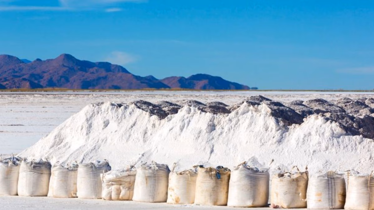 Basf SE descarta inversión en litio en Chile y reforzará suministro en Europa