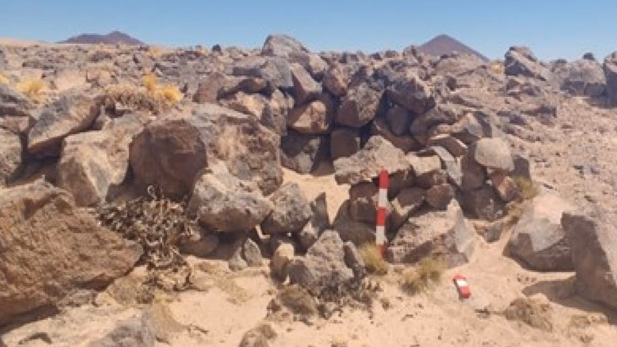 Bearing Lithium: El estudio de factibilidad definitivo confirma la perspectiva positiva para el proyecto de salmuera de litio de la etapa uno de Maricunga
