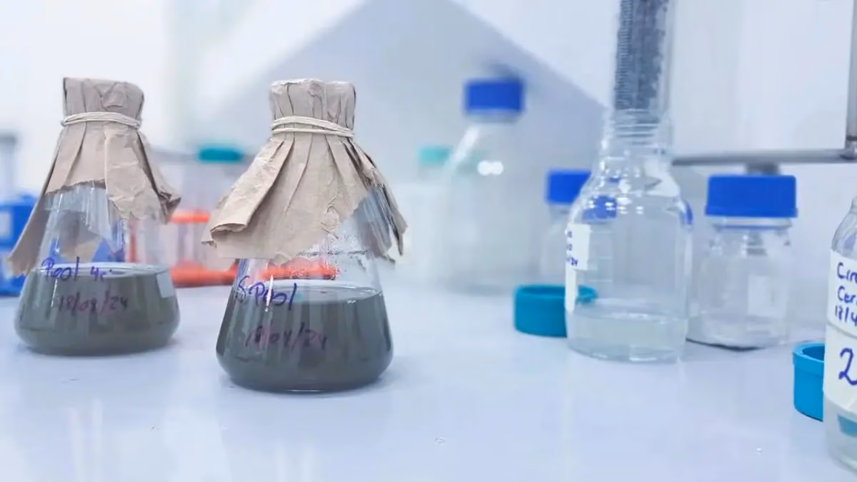 Biotecnología chilena convierte relaves en fuente de cobalto y proyecta a Chile como potencia mundial