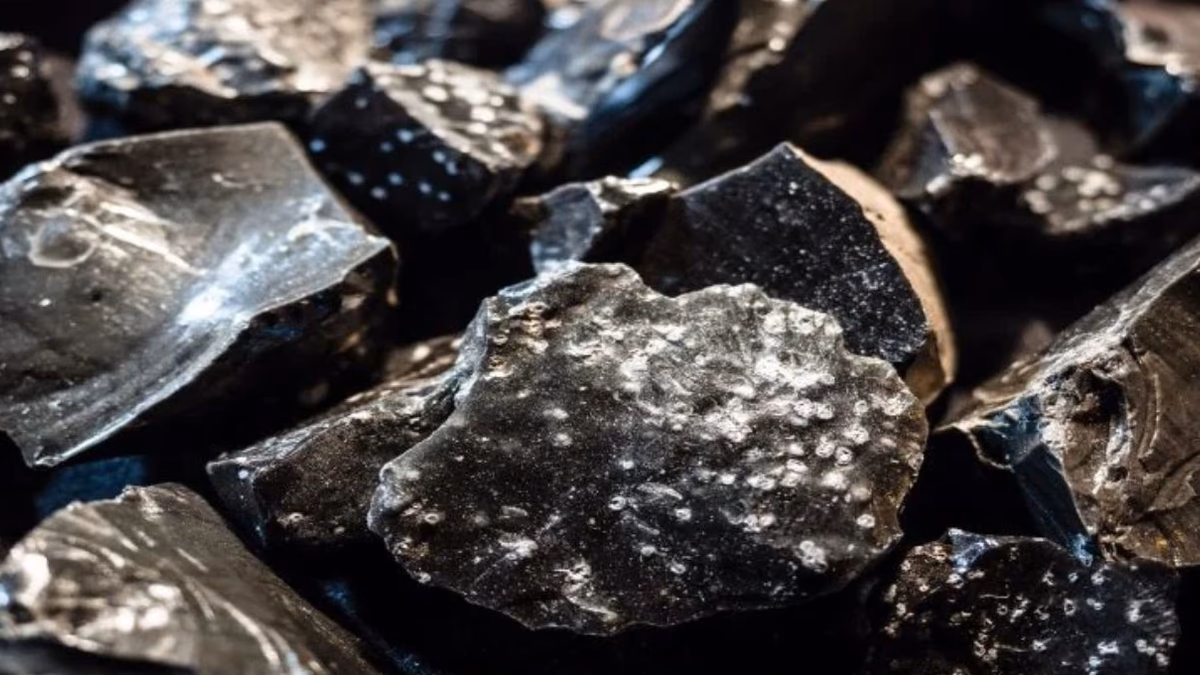 Black Rock asegura préstamo de $53.4 millones de IDC para proyecto de grafito en Tanzania