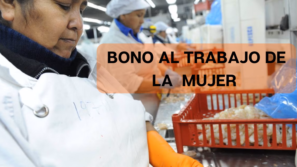 Bono al trabajo de la mujer, ¿Cúando y quiénes pueden cobrarlo?