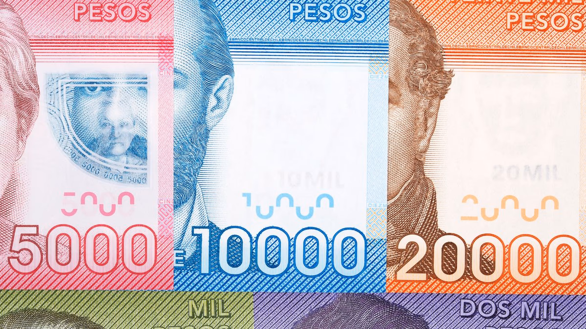 Bono de $214.000 para el 80% del Registro Social de Hogares: consulta con tu RUT si es para ti