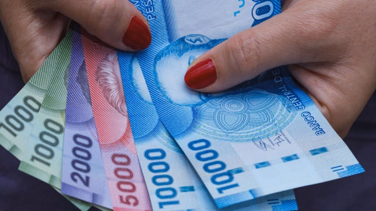 Aporte Familiar de $66.834: consulta con RUT si tienes dinero pendiente