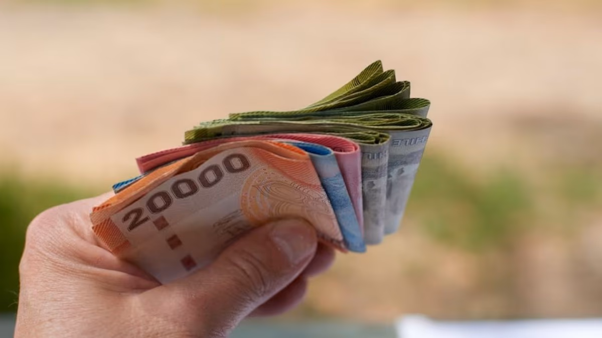 Aporte Familiar: cómo revisar con RUT si el pago está disponible