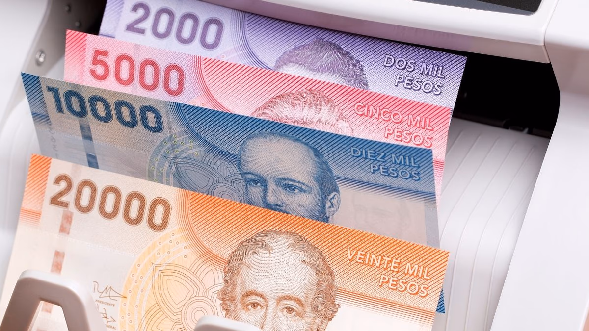 Bono Marzo 2025: ¿Te corresponde el segundo pago del Aporte Familiar Permanente? Consulta con tu RUT