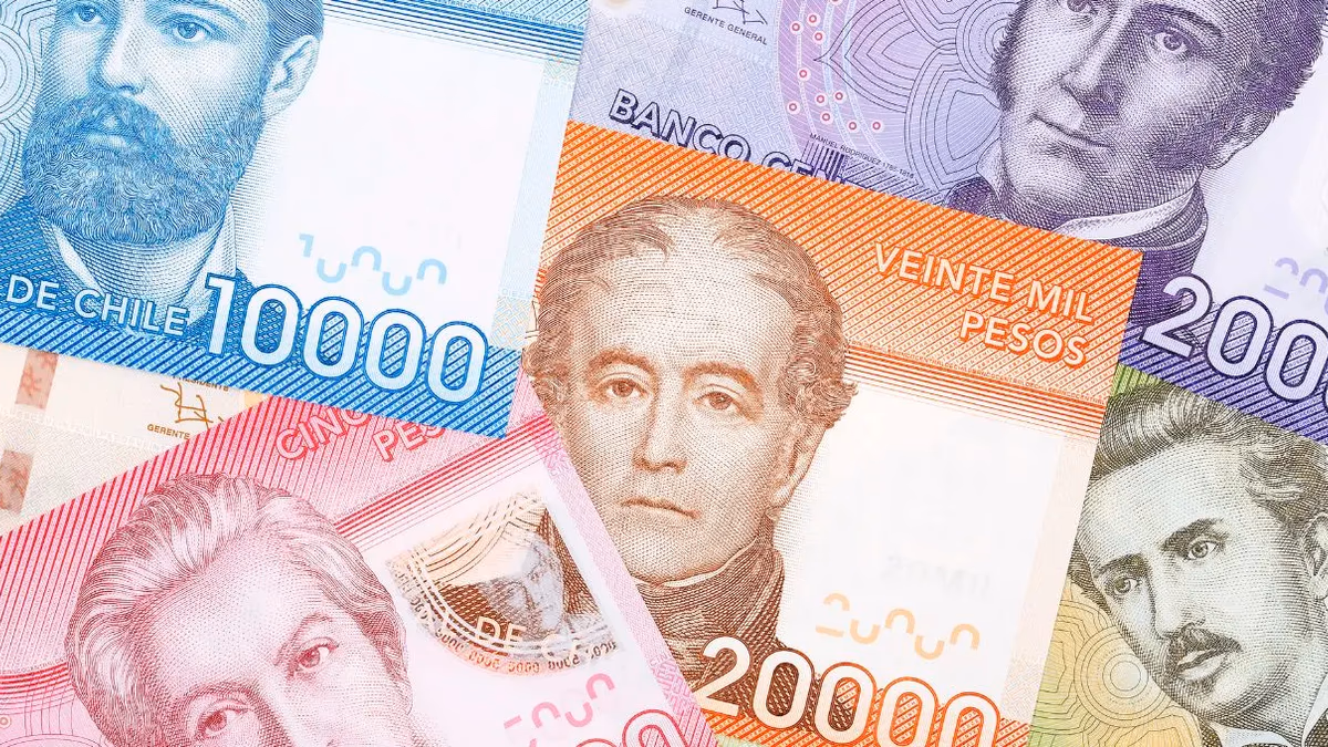 Bonos para cesantes: 3 pagos que puedes recibir en febrero 2026 y cómo revisarlos con tu RUT
