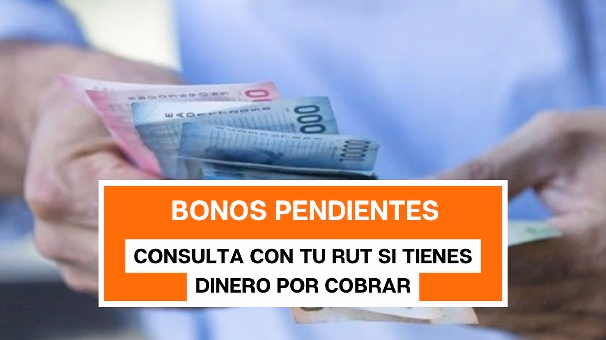 Bonos pendientes: consulta con tu RUT si tienes dinero por cobrar
