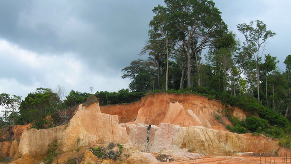 Brasil: Cabral Gold perfora 10m @ 10,5 g/t de oro, incluido 1m @ 63,6 g/t de oro en el Depósito Central de Oro, Distrito de Oro Cuiú Cuiú