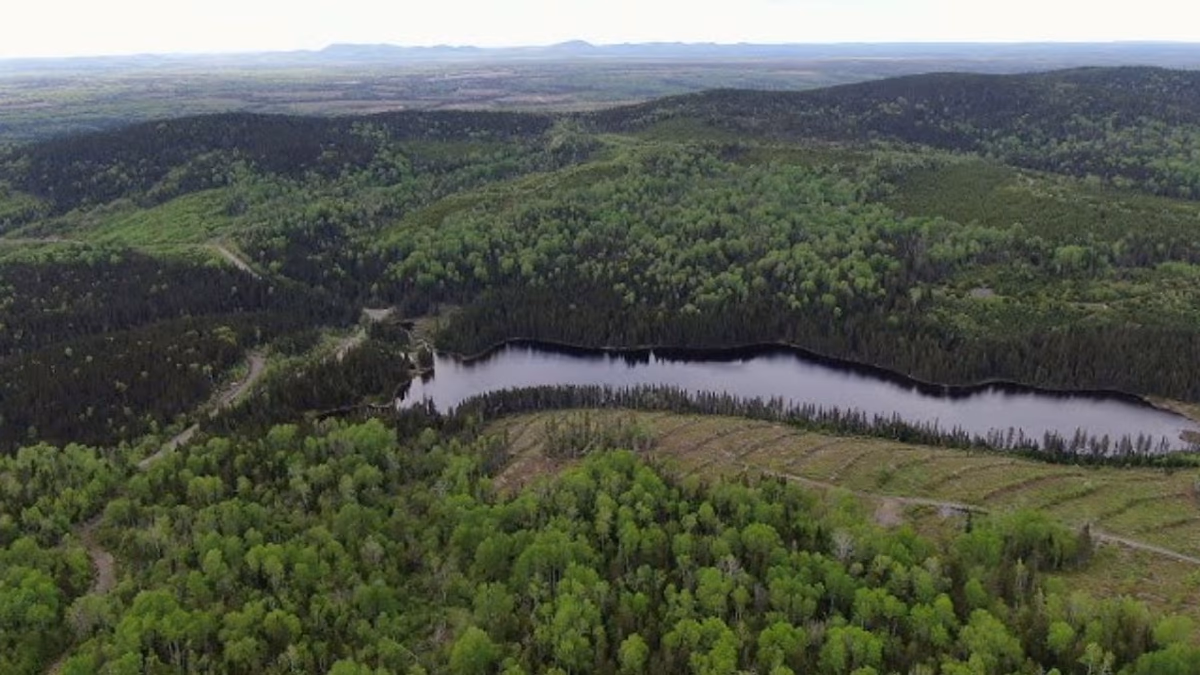 Canadian Gold Resource Ltd. expande su propiedad en Lac Arsenault