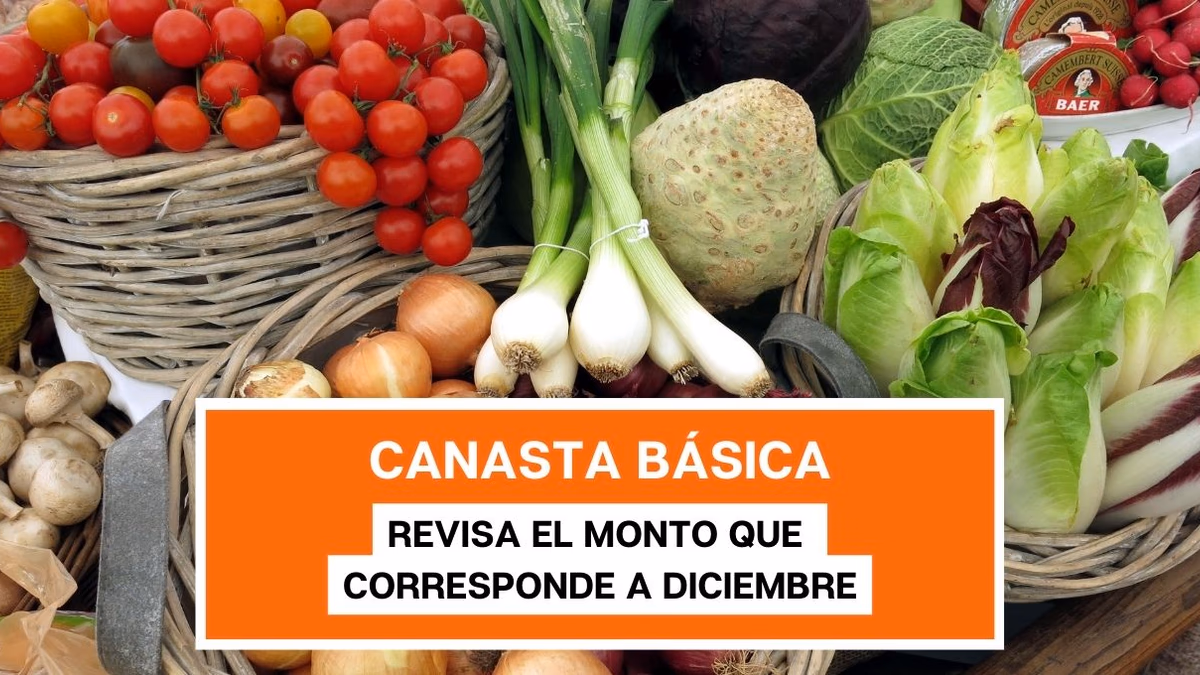 Canasta Básica: Revisa el monto del aporte