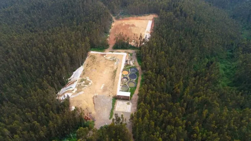 CAP renueva su directorio, releva avance en tierras raras y proyecta nueva etapa para Huachipato