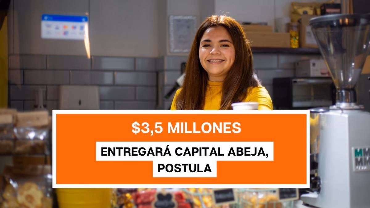 Capital Abeja entrega $3,5 millones: ¿Cuándo comienzan las postulaciones?