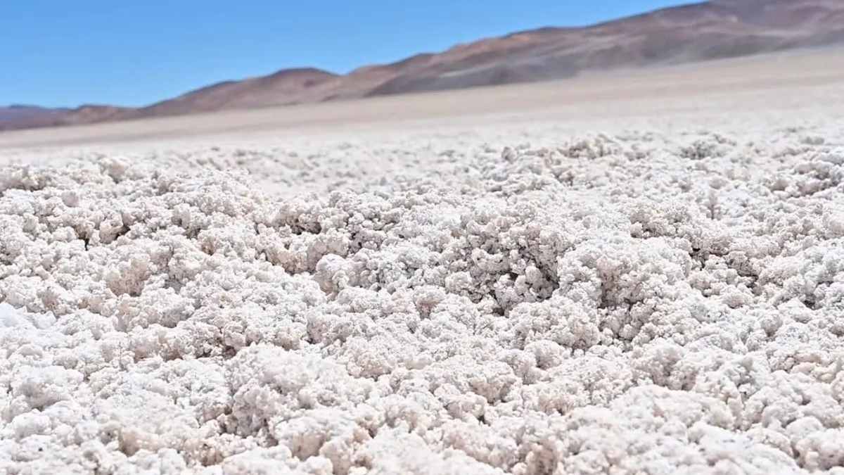 Chile crea alianza estratégica histórica para liderar producción sostenible de litio global