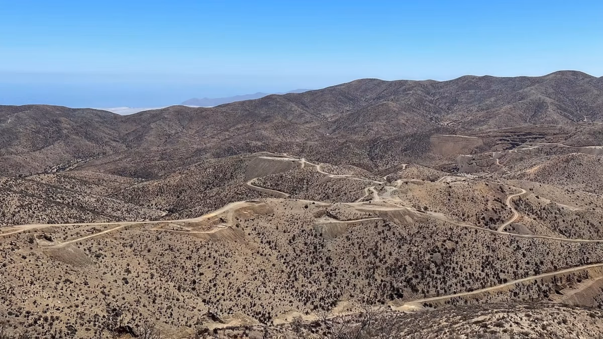 Chilean Cobalt levanta US$2,5 millones con Glencore y Madesal para avanzar en cobalto, cobre y tierras raras en Chile