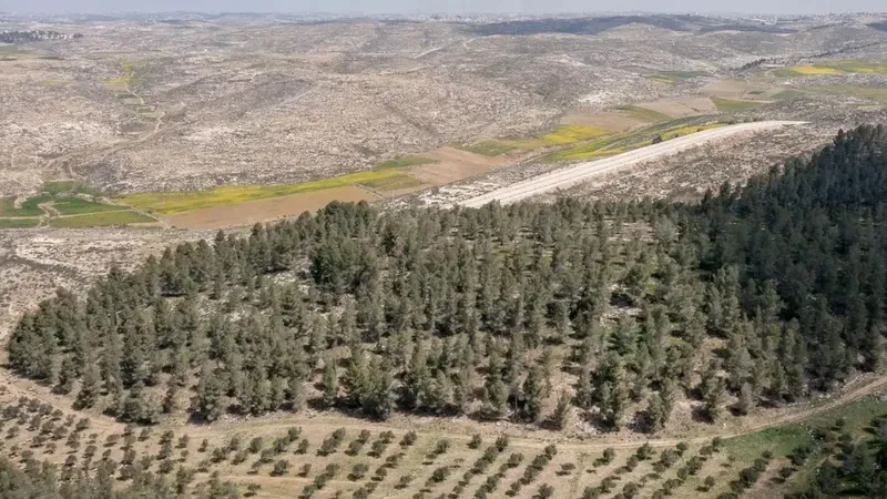 China frena avance del desierto Taklamakan con 66.000 millones de árboles plantados