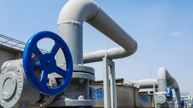 CNE abre licitación para estudio de costos del VAD de gas en Magallanes